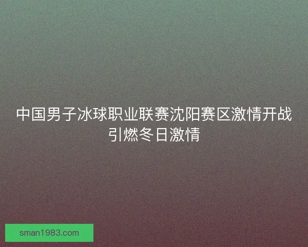 中国男子冰球职业联赛沈阳赛区激情开战引燃冬日激情